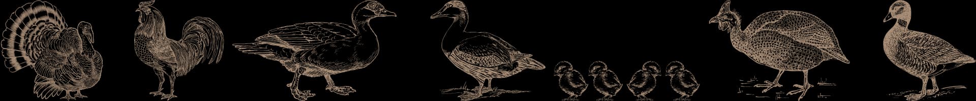 Large Groups & Catering